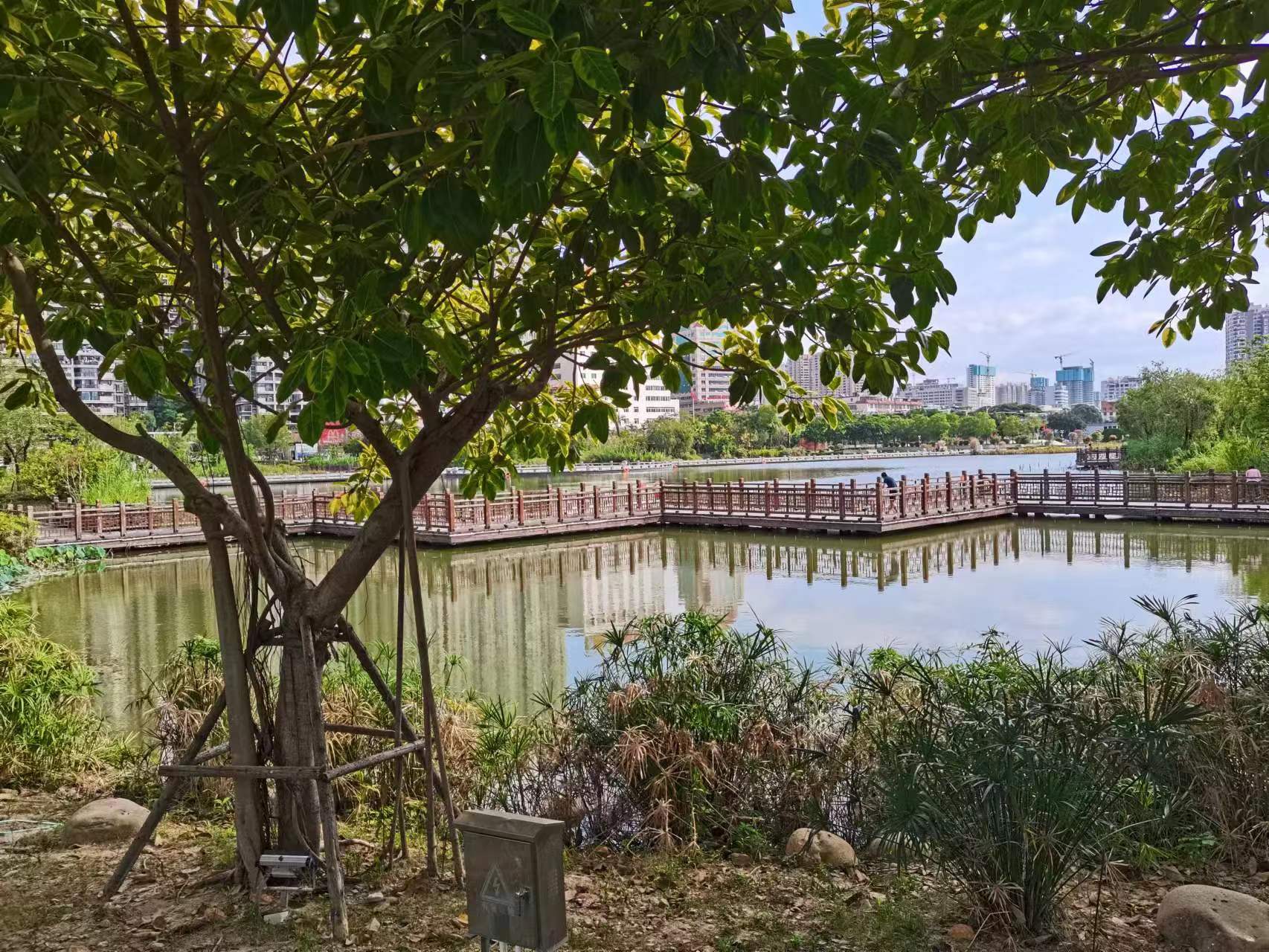 莆田南湖公园水桥走廊